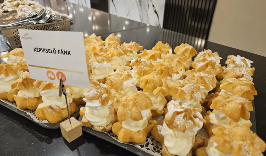 Hotel Szieszta Sopron - Senior ajánlat 60 év felettieknek (min. 2 éj)