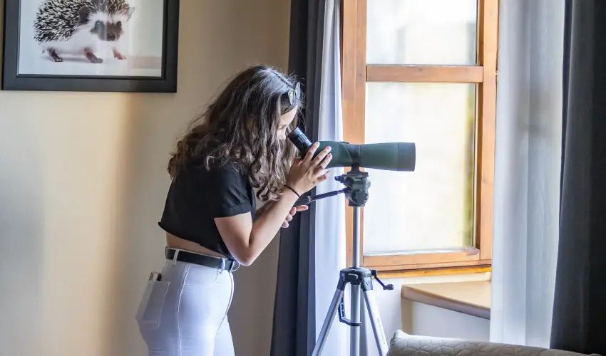 4 vszak Hegyihotel Mtrahza - Kedvezmnyes r csaldok rszreak (1 jtl)