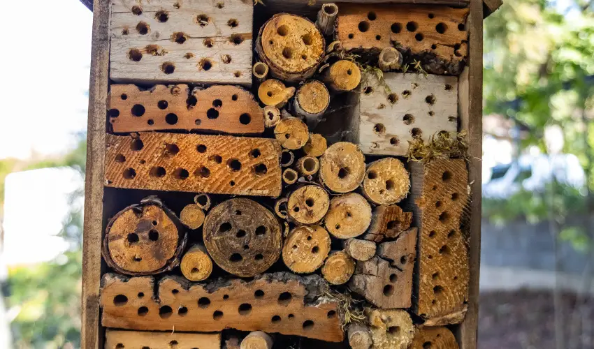 4 vszak Hegyihotel Mtrahza - Kedvezmnyes r csaldok rszreak (1 jtl)