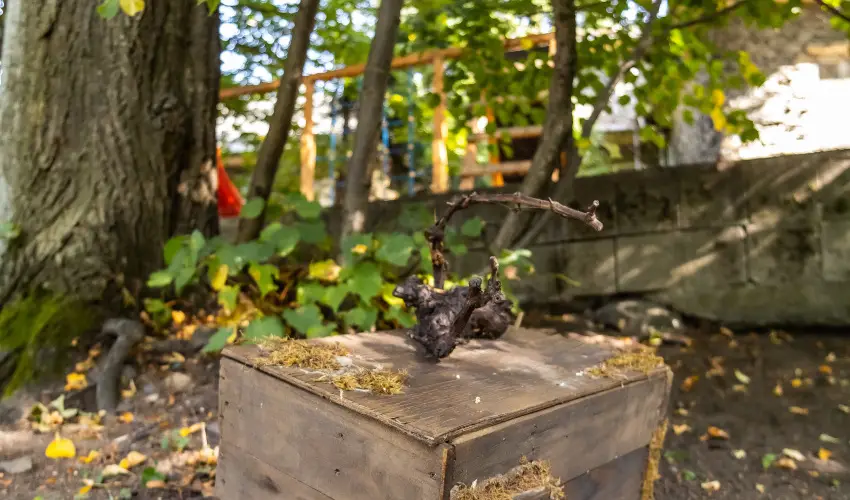 4 vszak Hegyihotel Mtrahza - Kedvezmnyes r csaldok rszreak (1 jtl)