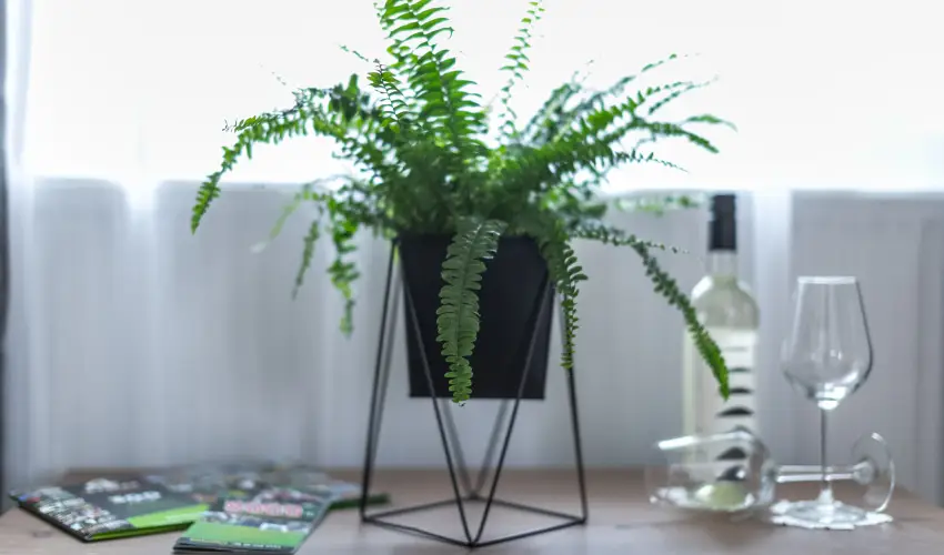 4 vszak Vlgyhotel Mtrafred - Ramazuri lmnycsomag (min. 2 j)