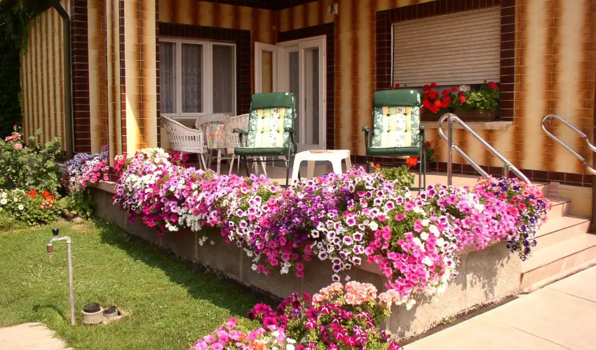 Amlia Apartman Gyula - Legjobb r 