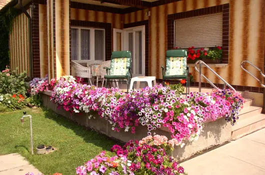 Amlia Apartman - Legjobb r 