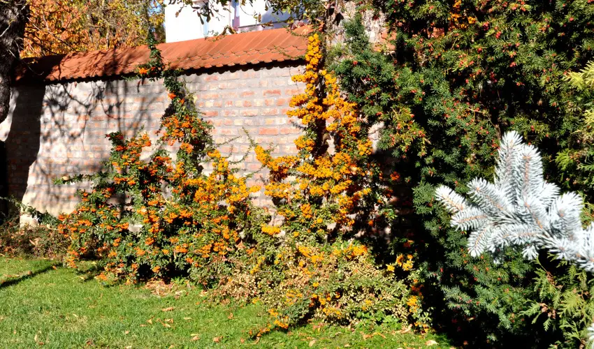 Ametiszt Hotel Harkány - Kedvezményes ár családok részéreak reggelis ellátással