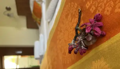 Aquatherm Hotel Zalakaros