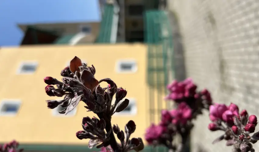 Aquatherm Hotel Zalakaros - Kedvezmnyes ajnlat (min. 2 j)