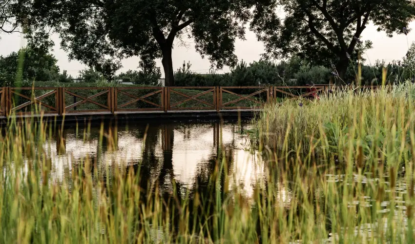 Arcanum Hotel Békéscsaba - Kedvezményes ár családok részéreak reggelis ellátással (1 éjtől)