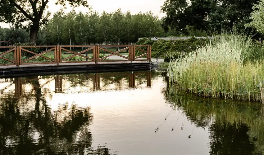 Arcanum Hotel Békéscsaba - Kedvezményes ár családok részéreak reggelis ellátással (1 éjtől)