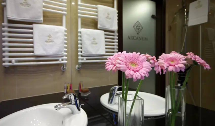 Arcanum Hotel B�k�scsaba - Fedezz�k fel B�k�scsab�t Munk�csy nyom�ban, f�rd�bel�p�vel (min. 2 �j)