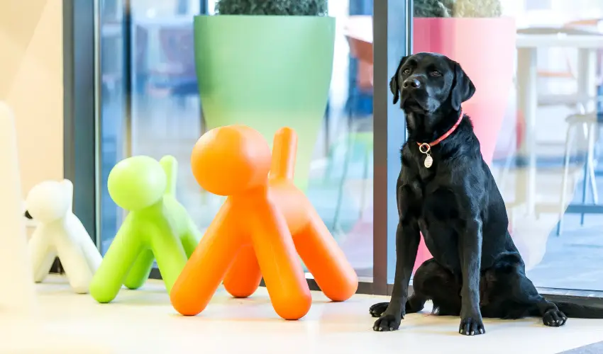 Art Hotel Szeged Szeged - Kedvezményes ár családok részére (1 éjtől)