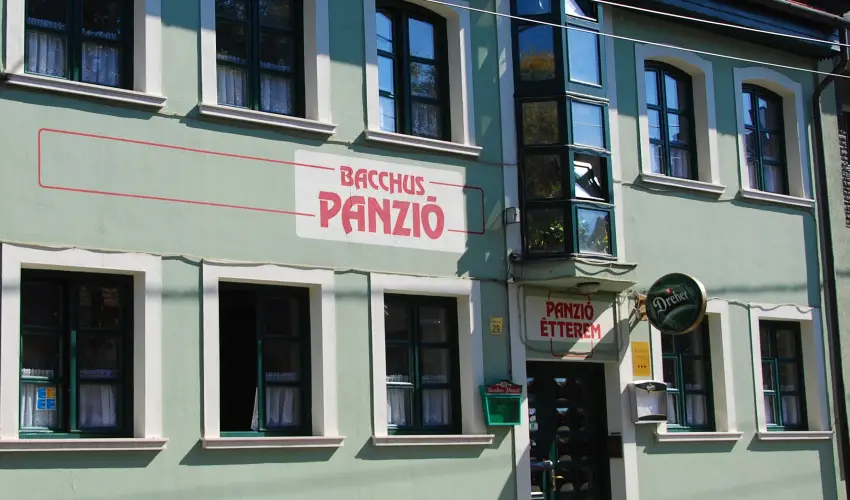 Bacchus Panzi Eger - Kedvezmnyes r csaldok rszreak reggelis elltssal (1 jtl)