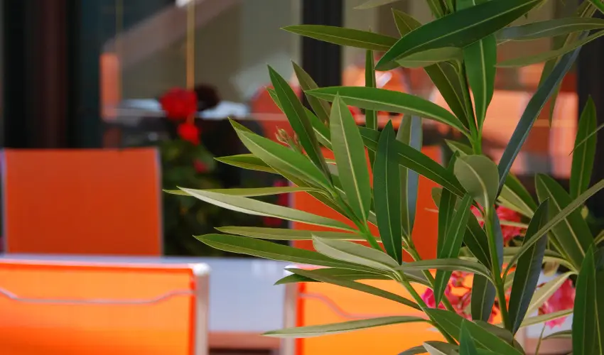 Bacchus Panzi Eger - Kedvezmnyes r csaldok rszreak reggelis elltssal (1 jtl)