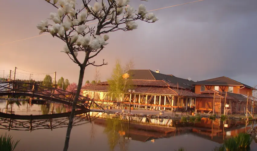 Bagolyvr Inrcs Inrcs - Wellness dls Budapest mellett (1 jtl)