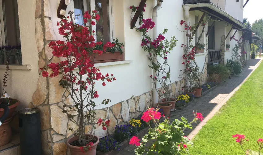 Bagolyvr Inrcs Inrcs - Wellness dls Budapest mellett (1 jtl)