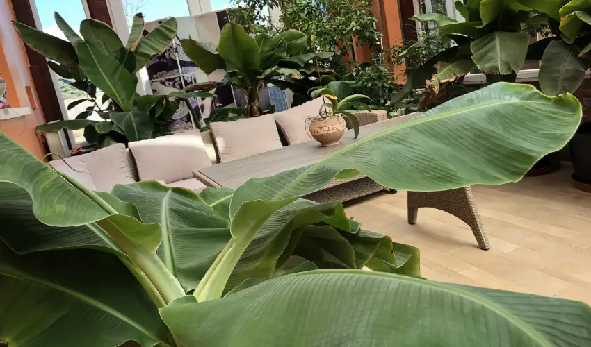 Bagolyvr Inrcs Inrcs - Wellness dls Budapest mellett (1 jtl)