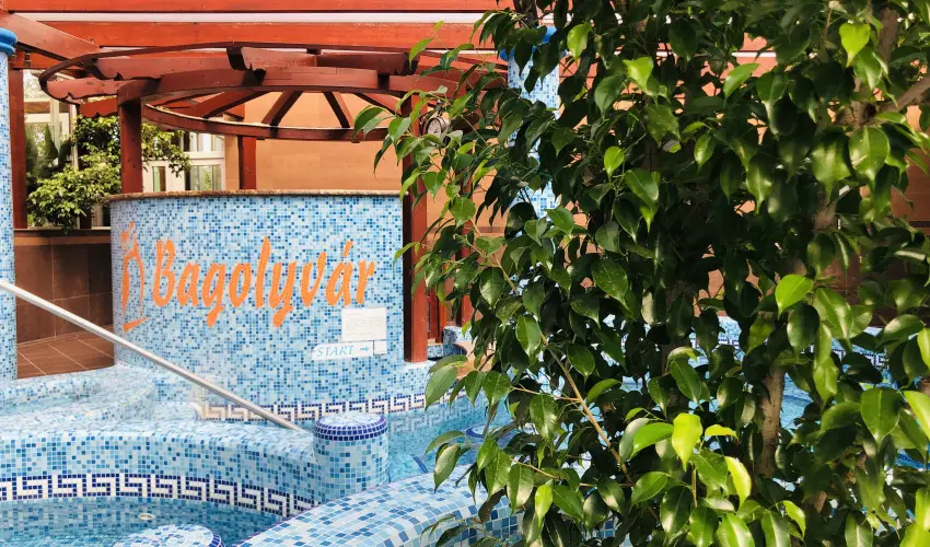 Bagolyvr Inrcs Inrcs - Wellness dls Budapest mellett (1 jtl)