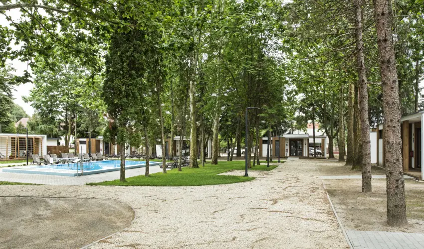 Barack Thermal Apartmanok Tiszakcske - Kedvezmnyes r csaldok rszreak a Natura apartmanban