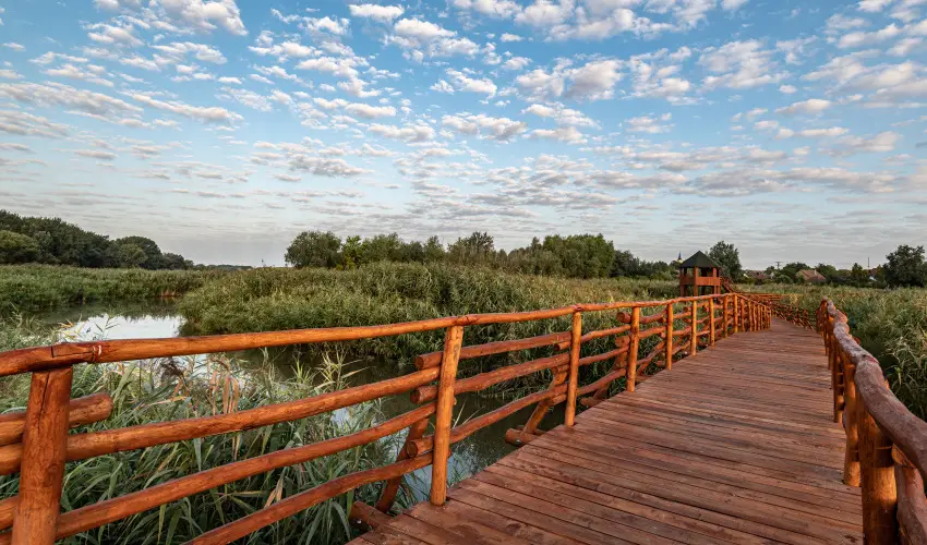 Barack Thermal Apartmanok Tiszakcske - Kedvezmnyes r csaldok rszreak a Natura apartmanban