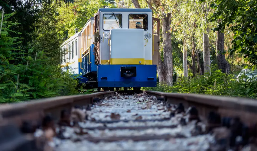 Barack Thermal Apartmanok Tiszakcske - Kedvezmnyes r csaldok rszreak a Natura apartmanban