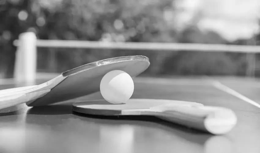 Boni Csal�di Wellness Hotel Zalakaros - Tavaszi sz�net (min. 2 �j)