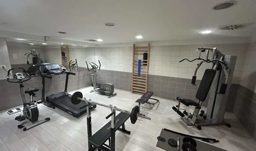 Boutique Hotel Sopianae Pcs - Kedvezmnyes r csaldok rszreak reggelis elltssal (1 jtl)