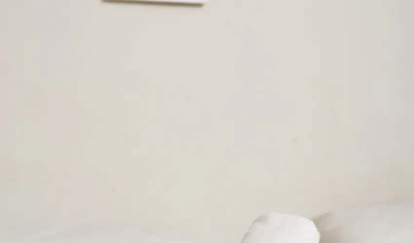 CE Napf�ny Hotel  Si�fok - Napf�nyes balatoni pihen�s (1 �jt�l)