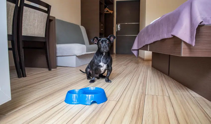 CE Plaza Hotel Sifok - Tk j csaldi kaland & varzslatos Halloween htvge (min. 2 j)