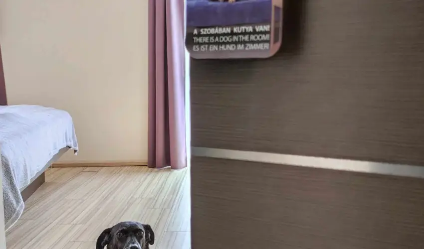 CE Plaza Hotel Sifok - Tk j csaldi kaland & varzslatos Halloween htvge (min. 2 j)