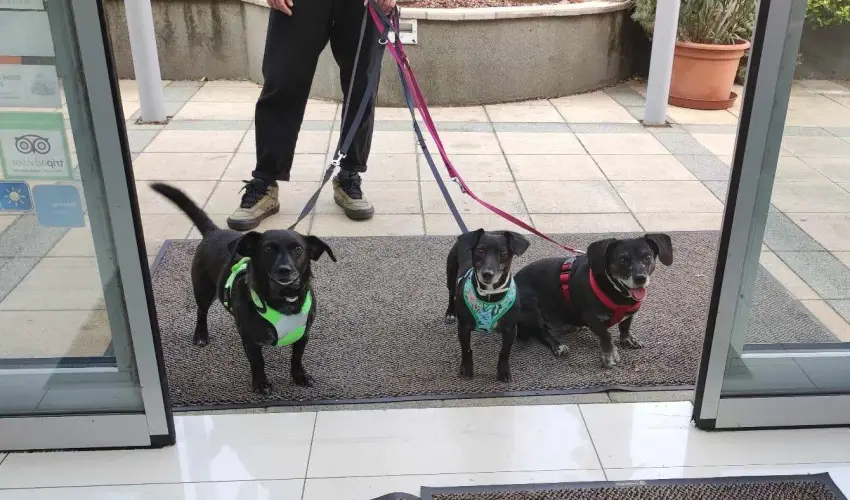 CE Plaza Hotel Sifok - Tk j csaldi kaland & varzslatos Halloween htvge (min. 2 j)