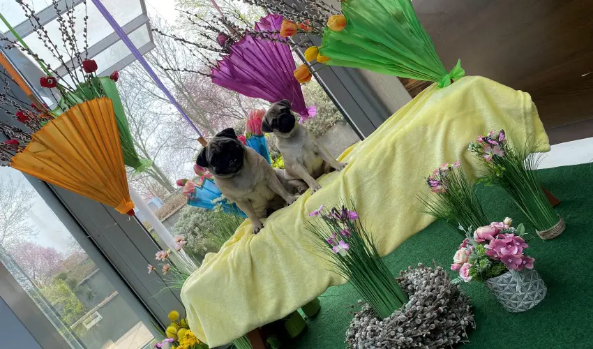 CE Plaza Hotel Sifok - Tk j csaldi kaland & varzslatos Halloween htvge (min. 2 j)