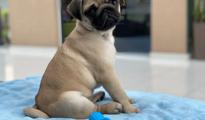 CE Plaza Hotel Sifok - Tk j csaldi kaland & varzslatos Halloween htvge (min. 2 j)