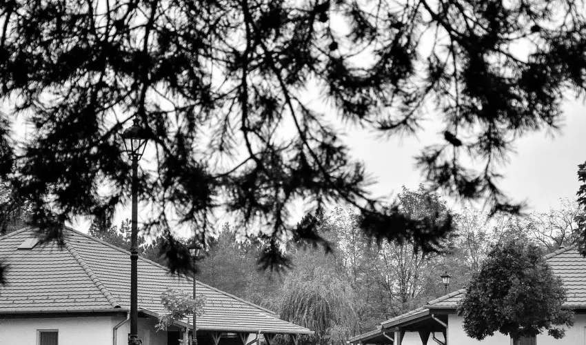 Cegl�df�rd� Apartmanpark �s Kemping Cegl�d - �szi harm�nia Cegl�df�rd�ben (min. 2 �j)