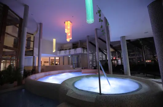 Colosseum Wellness Hotel - Kedvezmnyes r csaldok rszre flpanzival (1 jtl)