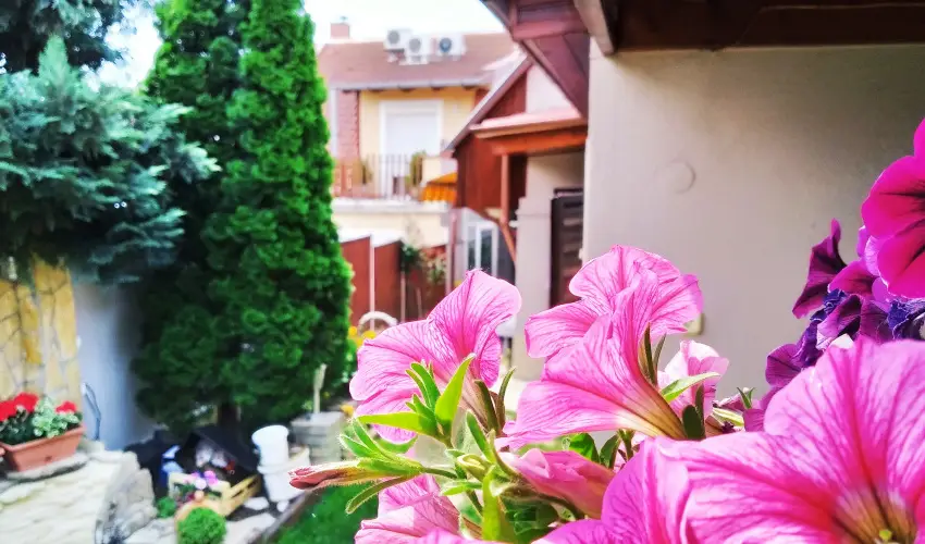 Csobogó Vendégház Eger - Legjobb ár reggelivel (1 éjtől)