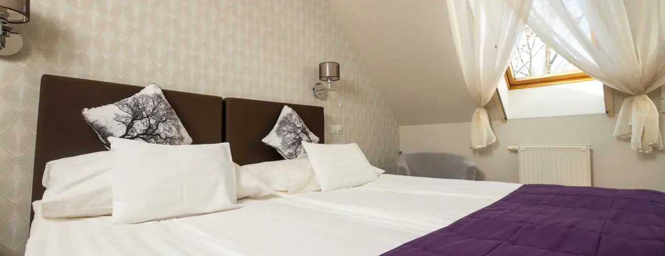 Dm Hotel Szeged - Vissza nem trtend ajnlat (1 jtl)