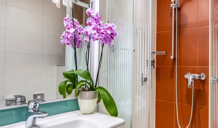 Drva Hotel Thermal Resort Harkny - Szilveszter (min. 3 j)