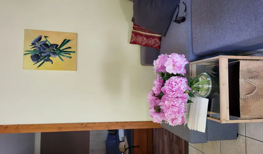 Dream Horse Apartman Cserkeszl - Kedvezmnyes ajnlat nelltssal (min. 2 j)