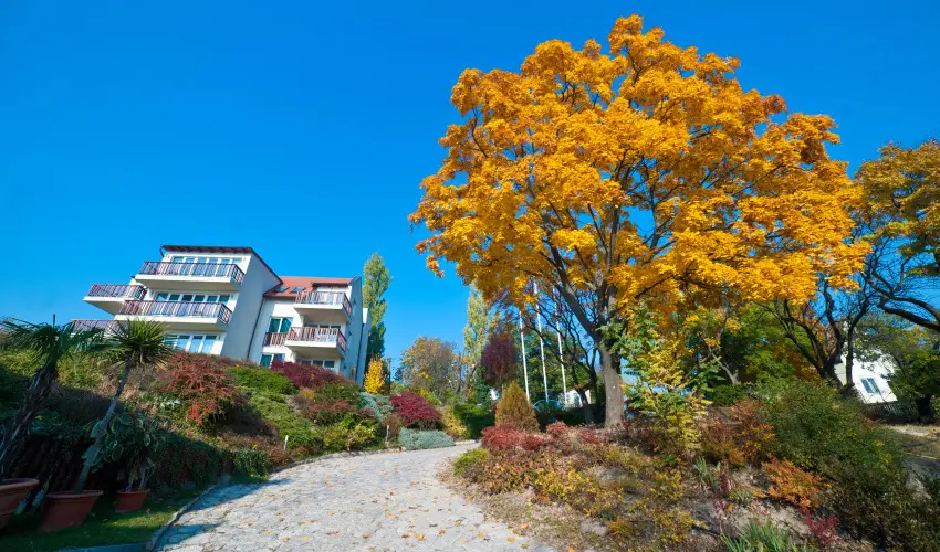 Echo Residence All Suite Hotel Tihany - Tihanyi wellness pihens reggelivel (min. 2 j)