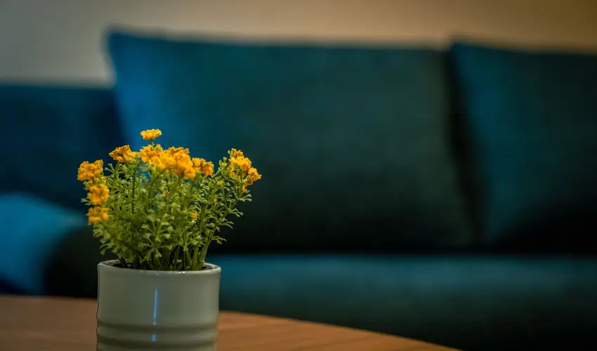 Eleven Business & Sport Hotel Jszrokszlls - Kedvezmnyes r csaldok rszreak flpanzival (1 jtl)