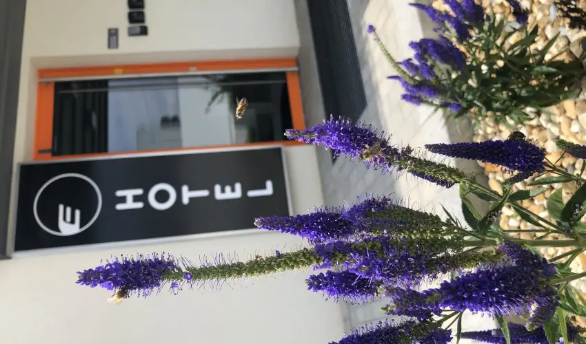 Eleven Business & Sport Hotel Jszrokszlls - Kedvezmnyes r csaldok rszreak flpanzival (1 jtl)