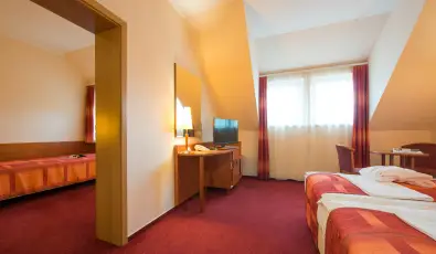 Erzs�bet Park Hotel Par�df�rd�