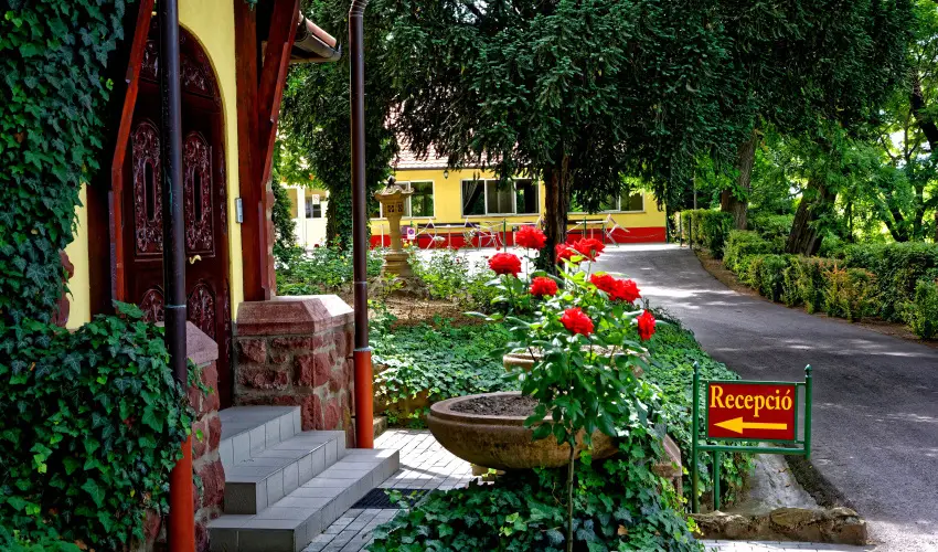 Fried Kast�ly Hotel Simontornya - Vissza nem t�r�tend� �r f�lpanzi�val (1 �jt�l)