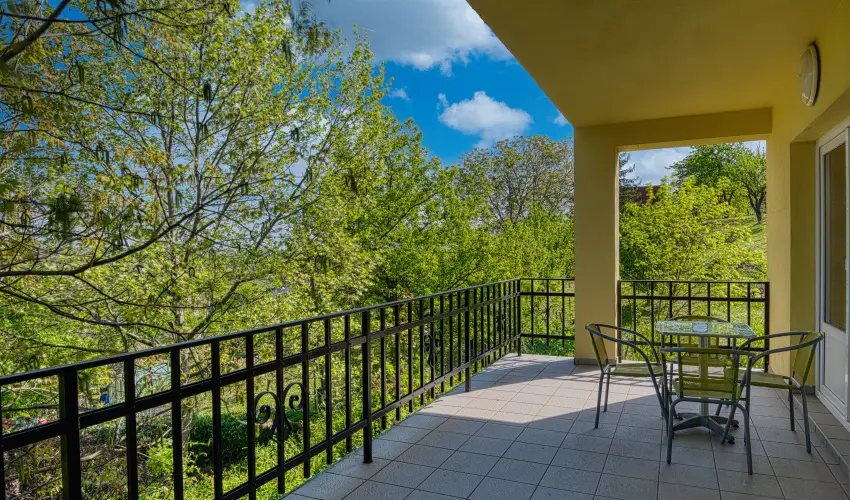 Fried Kast�ly Hotel Simontornya - Vissza nem t�r�tend� �r f�lpanzi�val (1 �jt�l)