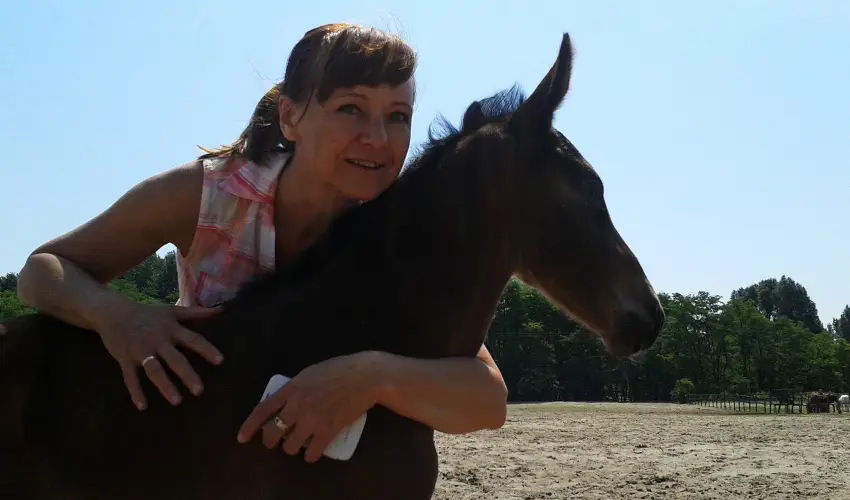 Gerby Kria Hotel s Lovasudvar Lajosmizse - Kedvezmnyes r csaldok rszreak (1 jtl)