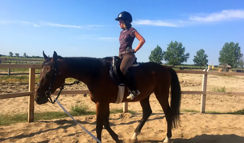 Gerby Kria Hotel s Lovasudvar Lajosmizse - Kedvezmnyes r csaldok rszreak (1 jtl)