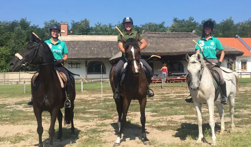 Gerby Kria Hotel s Lovasudvar Lajosmizse - Kedvezmnyes r csaldok rszreak (1 jtl)