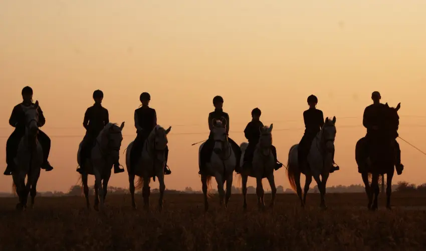 Gerby Kria Hotel s Lovasudvar Lajosmizse - Kedvezmnyes r csaldok rszreak (1 jtl)