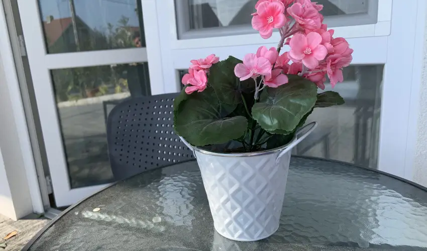 Mese Panzi Zalakaros - Szenzcis kikapcsolds Zalakaroson