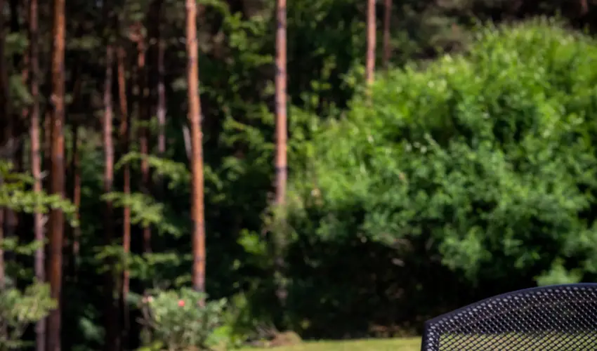 Gosztola Gy�ngye-az erd� sz�llod�ja Gosztola - Gosztola Wellness Pihen�s (min. 2 �j)