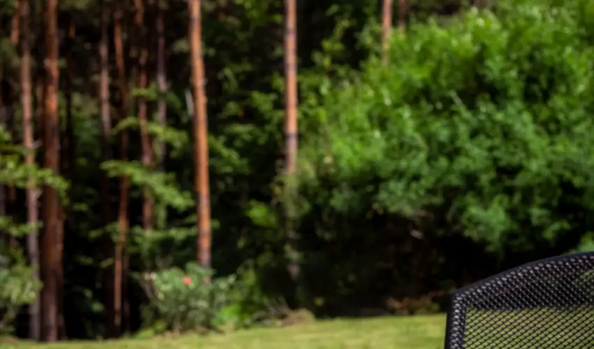 Gosztola Gy�ngye-az erd� sz�llod�ja Gosztola - Gosztola Wellness Pihen�s (min. 2 �j)